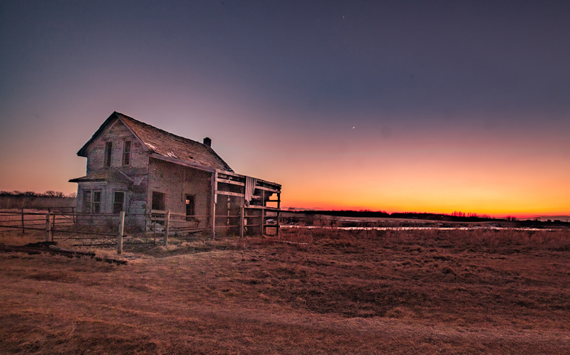 Gregory House  by Brian Clark